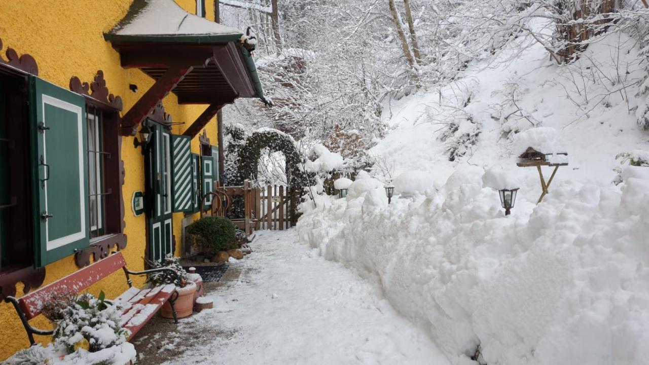 Appartement Harrer Zell am See Exterior foto